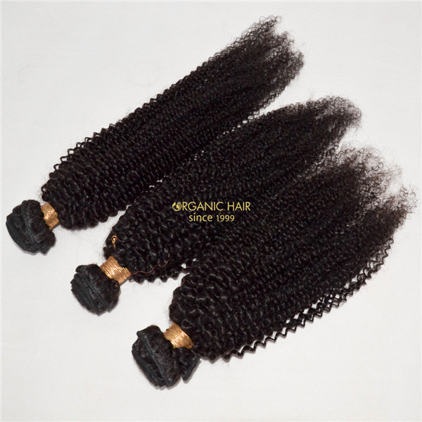 Virgin brailian afro kinky curly human hair extensions